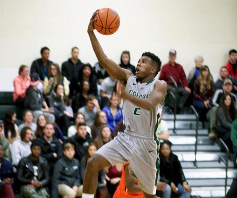 Gator men's hoop squad stays unbeaten in Skyline after topping Purchase, 77-63