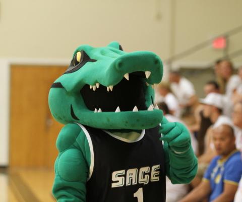 Live Video Available for Sage's volleyball match with Purchase