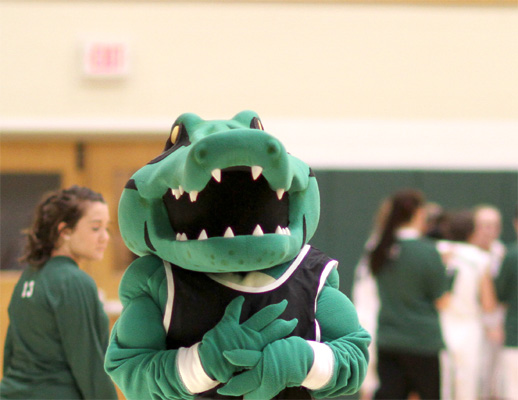 Love to Dance? Love Green? Want to be the New Sage Gator Mascot?