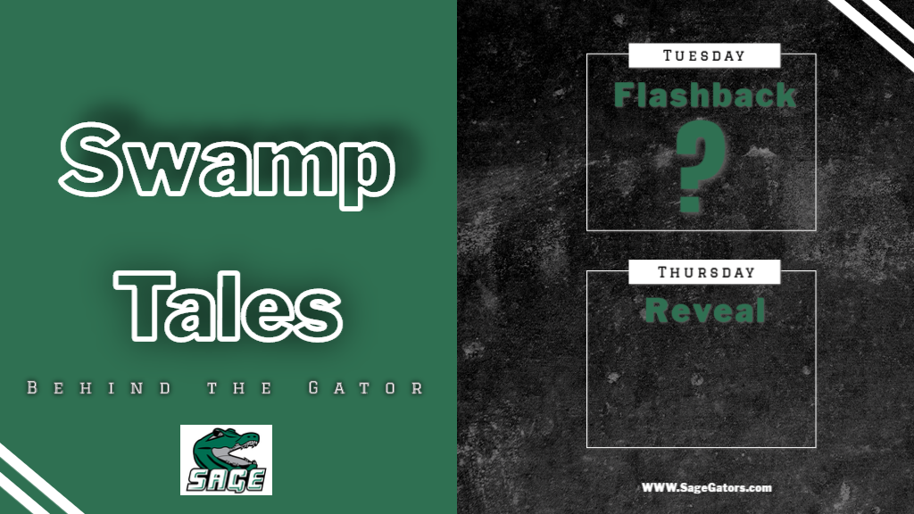 Swamp Tales! Meet our latest mystery Gator!