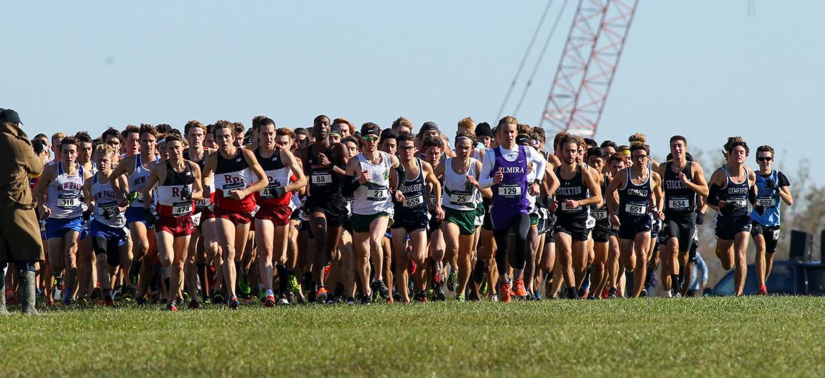 Wick competes in final cross country race as he runs at NCAA Atlantic Regionals
