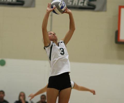 Gators down MCLA, 3-2 in volleyball action