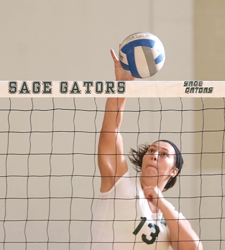 Sage Women's Volleyball Bests Fighting Tigers, 3-0